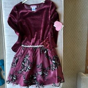 NWT girl’s dress